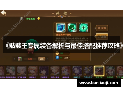 《骷髅王专属装备解析与最佳搭配推荐攻略》